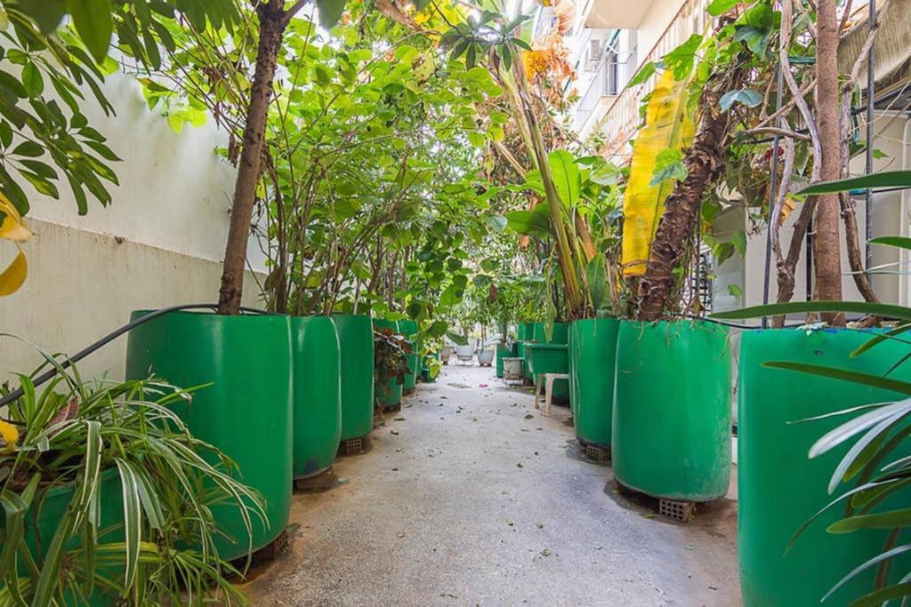 Vintage Style Apartment With Beautiful Backyard アテネ エクステリア 写真